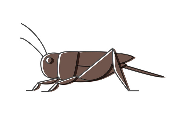 Grillos, insectos que pueden ser comidos por insectos - Vector, Imagen
