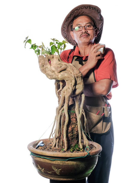 Een man is het enten van bougainvillea bloem boom stap voor stap geïsoleerd op witte achtergrond. - Foto, afbeelding