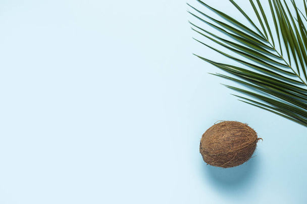 one whole coconut and palm leaf on a blue background. Top view, flat lay. - 写真・画像