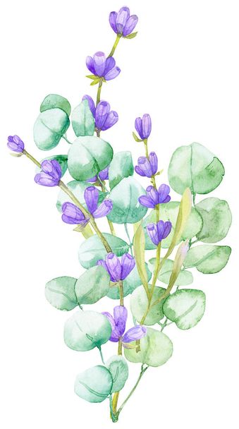 A bouquet of green eucalyptus leaves and lilac lavender. Watercolor illustration Hand drawn eucalyptus branch with lavender flowers - Foto, imagen
