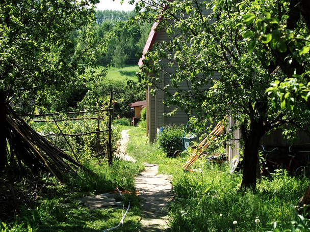 μονοπάτι για την αγροικία μέσα από τον κήπο, το καλοκαίρι - Φωτογραφία, εικόνα
