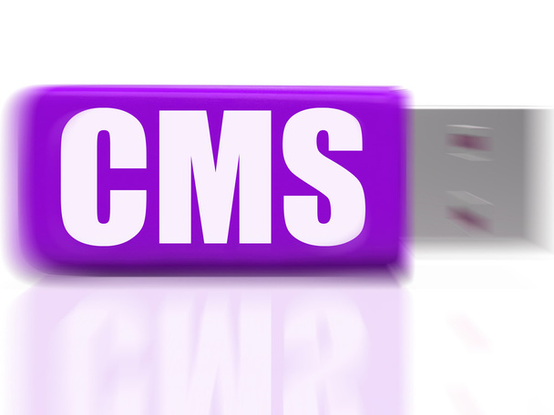 CMS USB-drive betekent inhoud optimalisatie of data verkeer - Foto, afbeelding