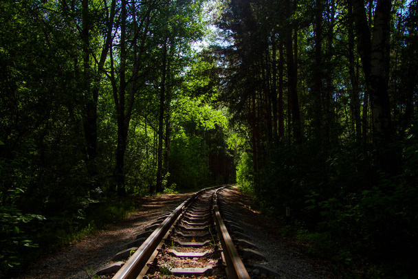 Abandoned railway in the forest - Foto, immagini