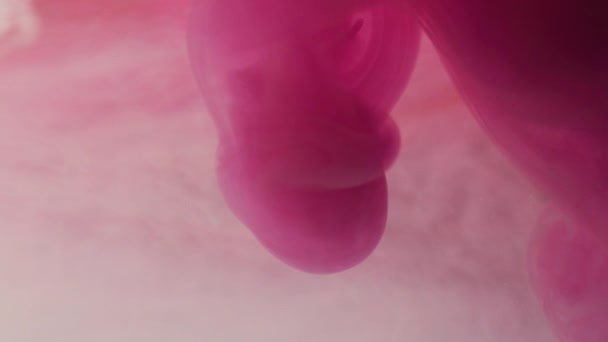 Vernice acrilica rosa in acqua - Filmati, video