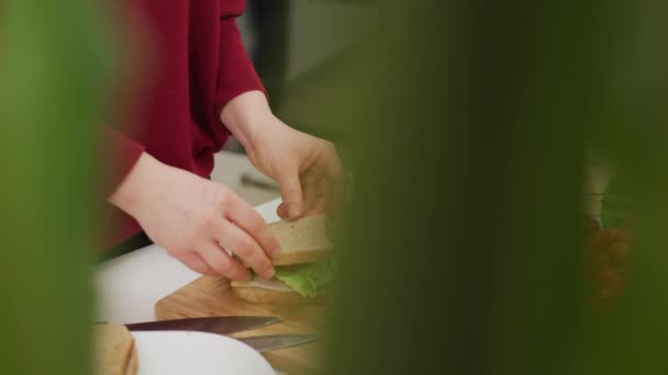 Handen maken van sandwiches dicht - Video
