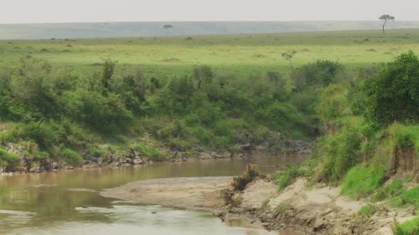 El río Mara, concepto de naturaleza - Imágenes, Vídeo