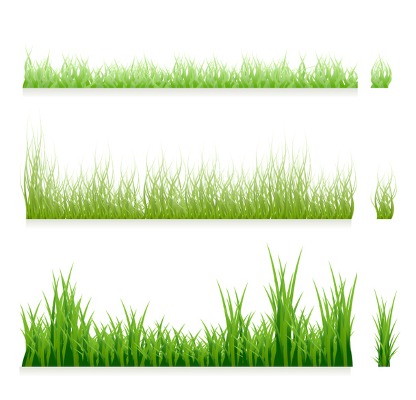 Sada zelených travních hranic, izolovaných na bílém pozadí. Čerstvá jarní tráva v různých odstínech zelené délky a hustoty. Sbírka šablon přírodních prvků. Jpeg - Fotografie, Obrázek