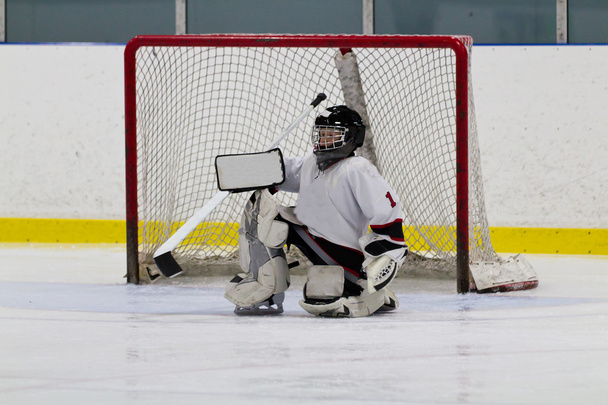 buz hokeyi goaltender net önünde  - Fotoğraf, Görsel