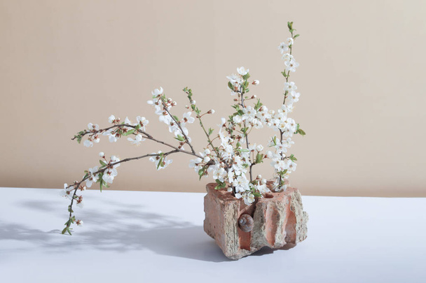 un frammento di un mattone con una chiocciola e rami fioriti - un'estate creativa o una natura morta di primavera con ombre dure - Foto, immagini