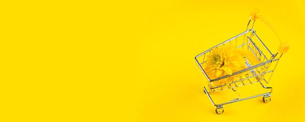 Summer background concept. Bright flower on a yellow background. Shopping cart with flowers.Banner format - Фото, зображення