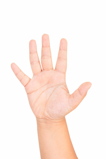 Isolated boy hand shows the number five - Foto, afbeelding