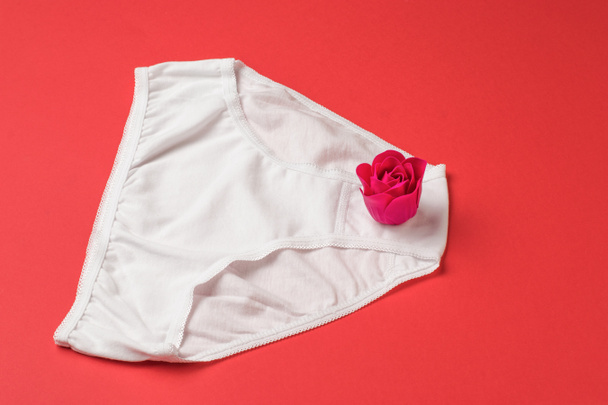 Red rose bud on white women's panties on a red background. Surprise. - Фото, зображення
