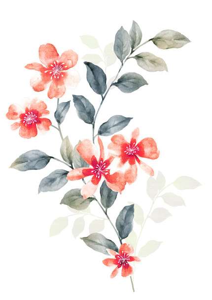 akvarel ilustrace květiny - Fotografie, Obrázek