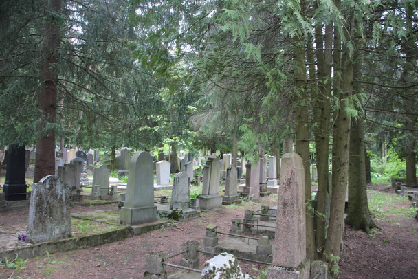 régi temető nézet, élet-halál koncepció  - Fotó, kép