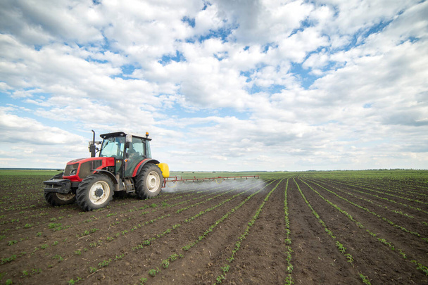 Tractor rociando pesticidas en campos de soja - Foto, imagen