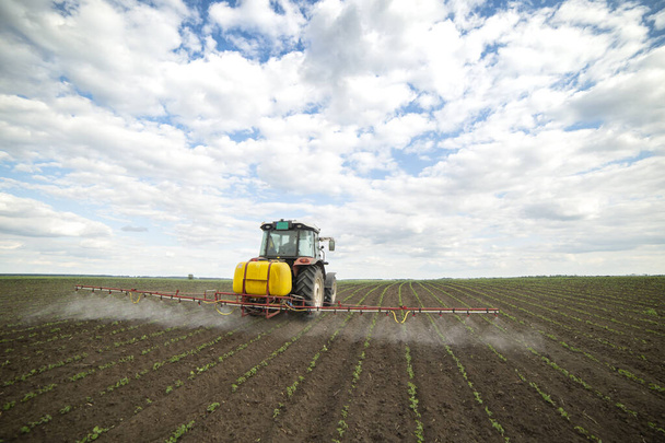 Tractor spraying pesticides at soy bean fields - Photo, Image