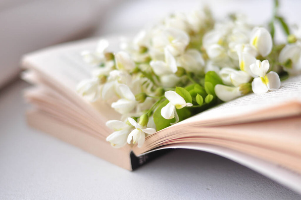 Κρατήστε Βιβλίο και άνοιξη acacia λουλούδια ταπετσαρία και φόντο  - Φωτογραφία, εικόνα