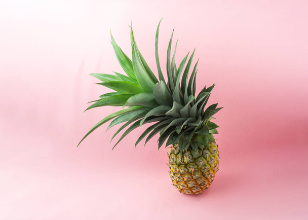 A pineapple on light pink background. - Photo, image