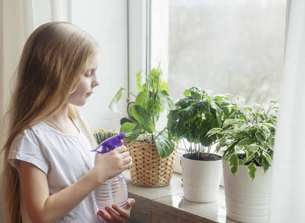 Egy kislány, aki vizet fröcskölt a házi növényekre. Házi kertészet - Fotó, kép