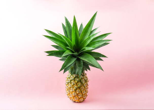Un ananas su sfondo rosa chiaro. - Foto, immagini