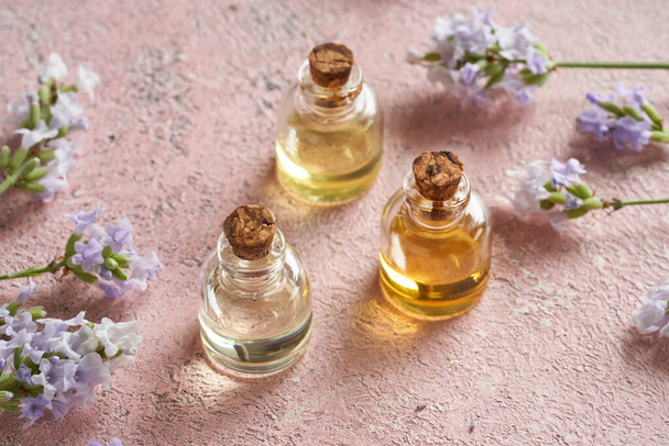 Bottiglie di olio essenziale con lavanda fresca fiorita su fondo rosa pastello - Foto, immagini