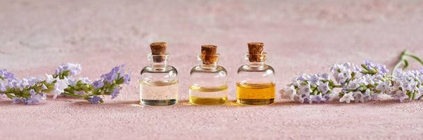 Три пляшки ефірної олії зі свіжим лавандою на рожевому пастельному тлі. Панорамний заголовок
. - Фото, зображення