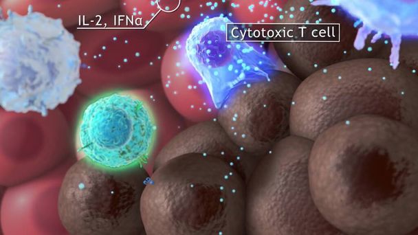 komórki zabójcy atakujące komórki nowotworowe - Zdjęcie, obraz