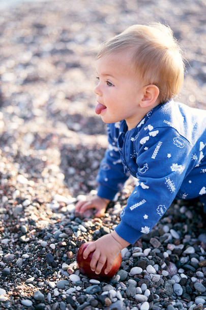 Il ragazzo divertente con una camicetta blu è a quattro zampe su una spiaggia di ciottoli, mettendo una mano su una mela e sporgendo la lingua. Primo piano - Foto, immagini