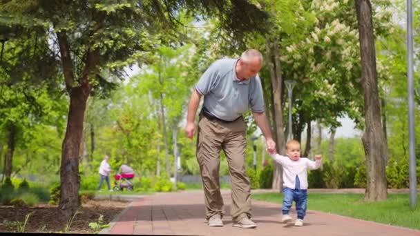 Vauva oppii kävelemään ulkona. Isoisä tukee lapsenlastaan, joka opettaa kävelemään. vauva tyttö ottaa ensimmäiset askeleet. - Materiaali, video