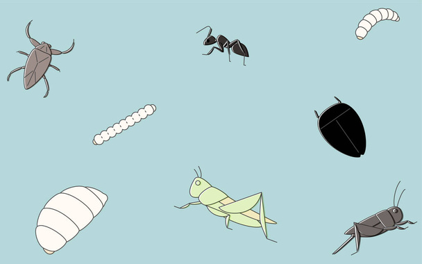 Βρώσιμα έντομα, ταπετσαρία εικονογράφηση φόντου - Διάνυσμα, εικόνα