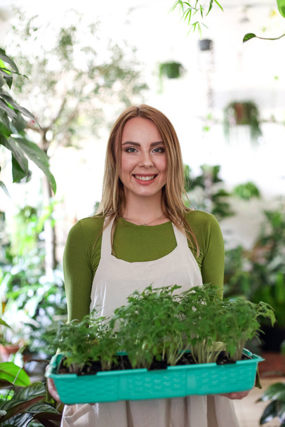 Веселая женщина в фартуке несет поднос с горшками томатных зеленых растений в саду и смотрит в камеру - Фото, изображение