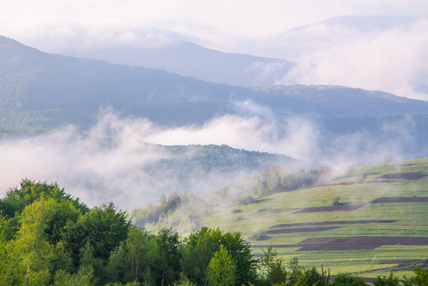 Reggel köd a hegyekben egy nyári napon. Köd-táj. Vidék. - Fotó, kép