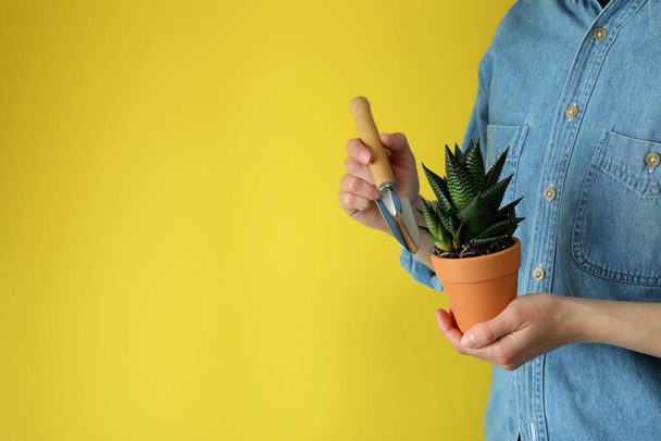 Frau hält Gartenschaufel und Topf mit Pflanze auf gelbem Hintergrund - Foto, Bild