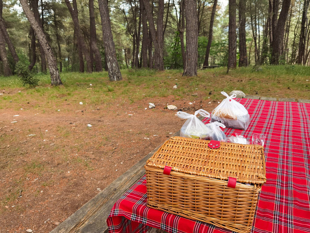 pick nick in pine tree forest tablecloth plastic bags straw case in spring - Photo, Image