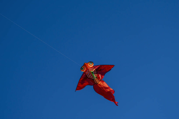 Latawiec rybny wysoko na błękitnym niebie dzień - Zdjęcie, obraz