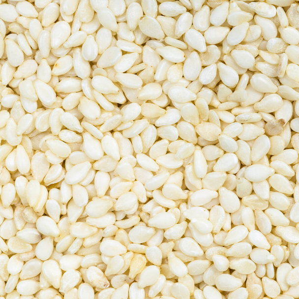 square food background - white sesame seeds close up - Fotó, kép