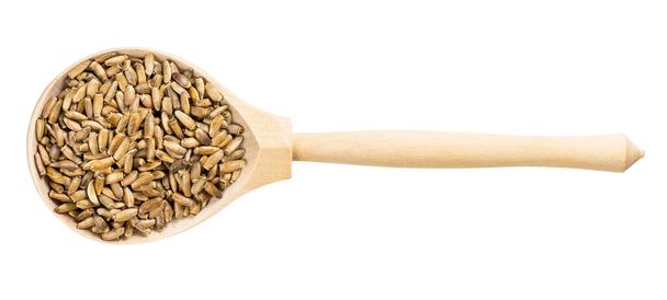 top view of wood spoon with whole milk thistle seeds isolated on white background - Photo, Image