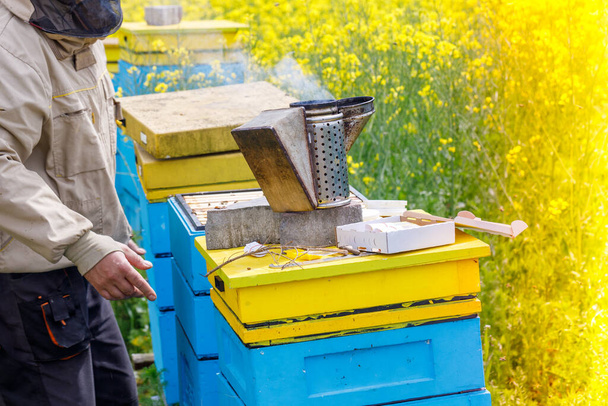 μελισσοκόμοι συλλέγουν μέλι από κυψέλες, ένα λιβάδι γεμάτο κίτρινα λουλούδια, βιολογική μελισσοκομία, κατασκευή  - Φωτογραφία, εικόνα