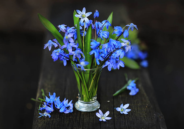 Forget-me-not flowers in a glass vase on a wooden background in the garden. - Φωτογραφία, εικόνα