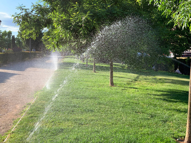 Sprinklers watering a park in the morning - Photo, Image