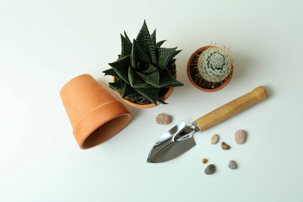Concept of gardening on white table, top view - Foto, Imagem