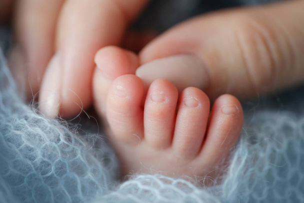 Małe nóżki noworodka w rękach rodzica. Tygodniowe dziecko. Wizerunek pierwszych dni życia. Koncepcja obrazu szczęśliwej rodziny, macierzyństwa i szczęśliwego dzieciństwa. - Zdjęcie, obraz