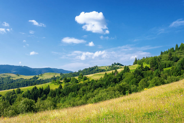 rural landscape in summer. beautiful nature scenery with fields on the hills rolling in to the distant valley. wonderful sunny weather with fluffy clouds on the sky - Photo, image