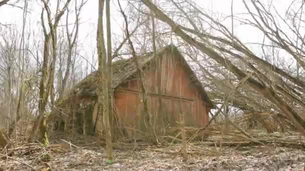 Fehéroroszország. Csernobili áttelepítési zónában elhagyott házak. Chornobyl katasztrófák. Dilapidált Ház Fehérorosz faluban. Egész falvakat kell elpusztítani. - Felvétel, videó