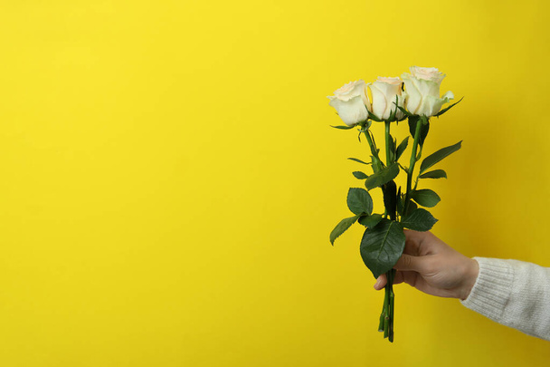 Female hand hold roses on yellow background - Фото, зображення
