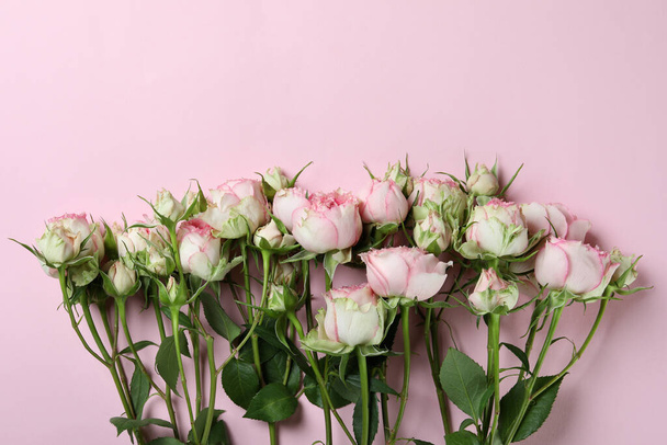 Hermosas rosas sobre fondo rosa, espacio para texto - Foto, imagen