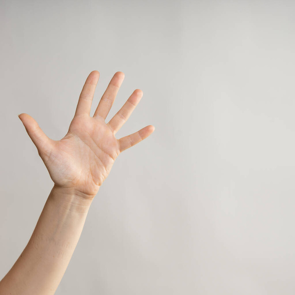Five fingers, open palm, five fingers on a womans hand. Hand gestures - Zdjęcie, obraz