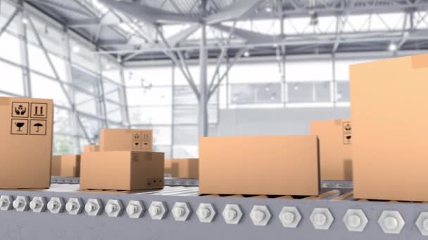 Logistické skladiště s přepravní linkou a přepravou kartonových zásilek - Záběry, video