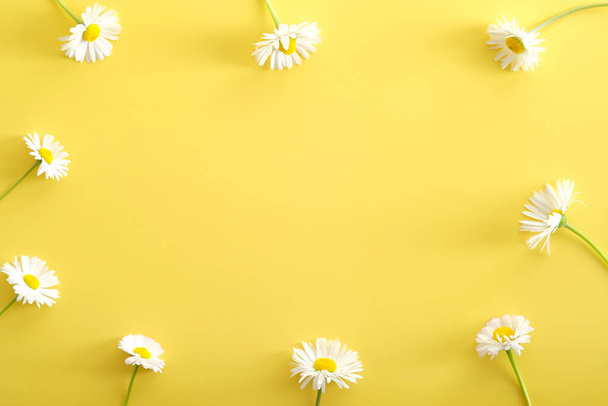 Frame of chamomiles flowers on yellow background. Flat lay composition, top view, copy space. - Fotoğraf, Görsel