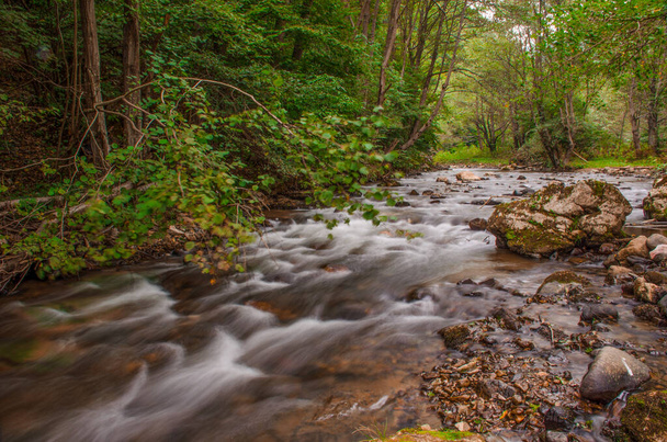 Mountain river with fast waters passing through the forest. Windy day, long exposure. - Photo, Image